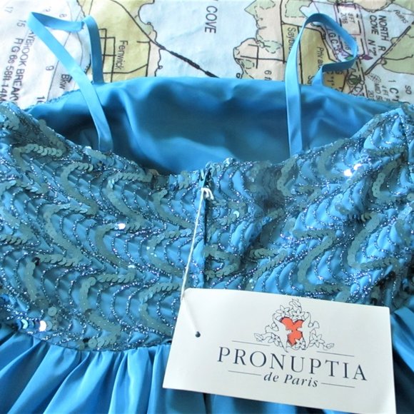 Gorgeous Blue Ball Gown - Picture 4 of 13